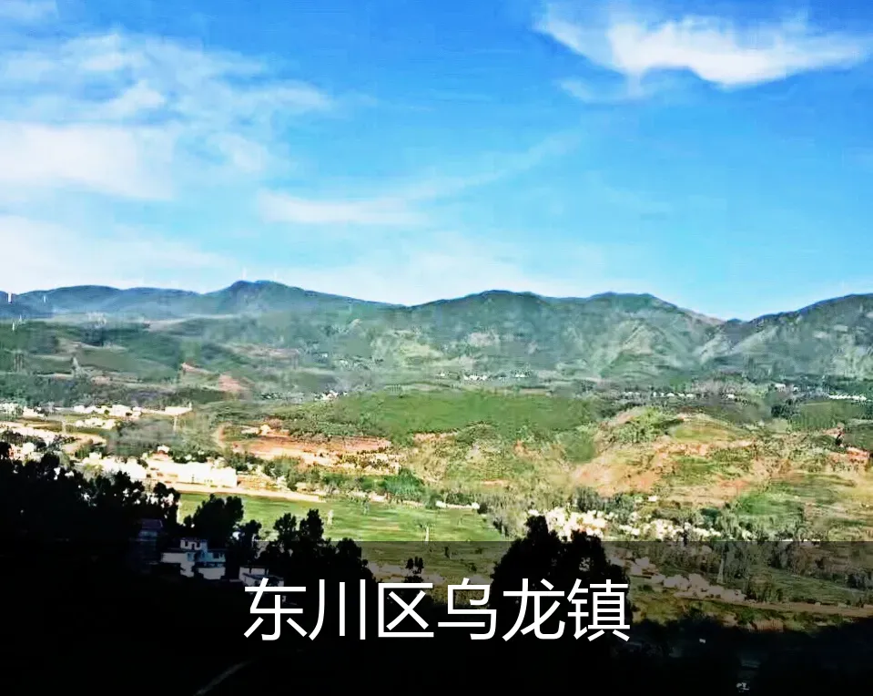 东川区乌龙镇
