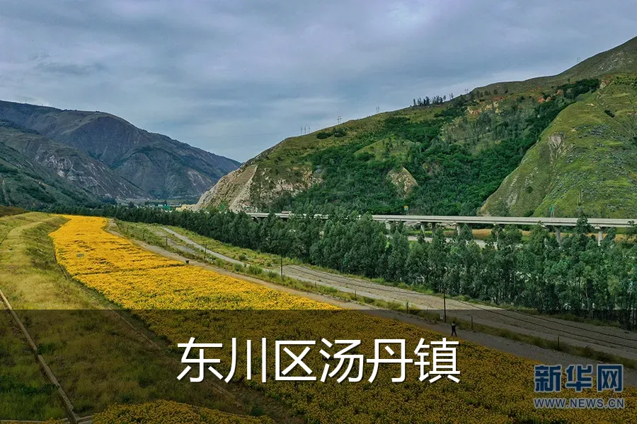 东川区汤丹镇